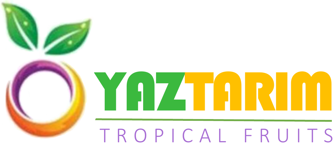 Yaztarım